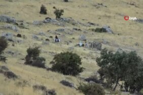 300-metre-yukseklikteki-kayalardan-topladigi-17799130_amp.jpg