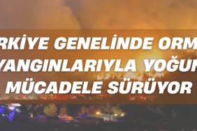 Türkiye Genelinde Orman Yangınlarıyla Yoğun Mücadele Sürüyor